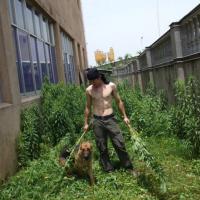 /photo/727227/现如今/j~tn6l)e1qgj1ho[f5c0frh_1_4_small.jpg